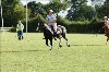 UKPA  NC Sat_1265